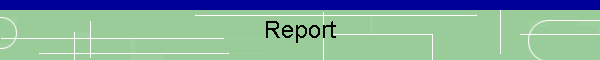 Report