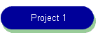 Project 1