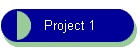 Project 1