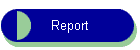Report