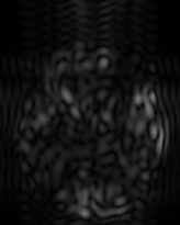 \scalebox{0.40}{\includegraphics{figs/brains/b2_b5inverrTns109}}