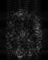 \scalebox{0.40}{\includegraphics{figs/brains/b2_b5inverrTns165}}