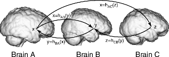 \resizebox{5in}{!}{\includegraphics{fig/three_brain_trans}}