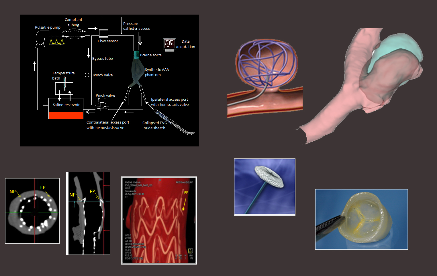 Biomechanical tissue testing